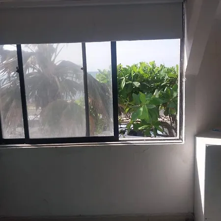 Apartamento With Ocean View And Beachfront We Speak